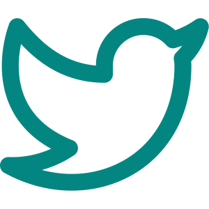https://x.com/HongminCai